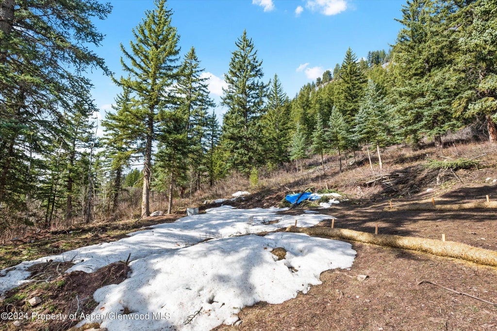 20 of 39 - Tbd Elk Mountain Dr Drive, Redstone, CO
