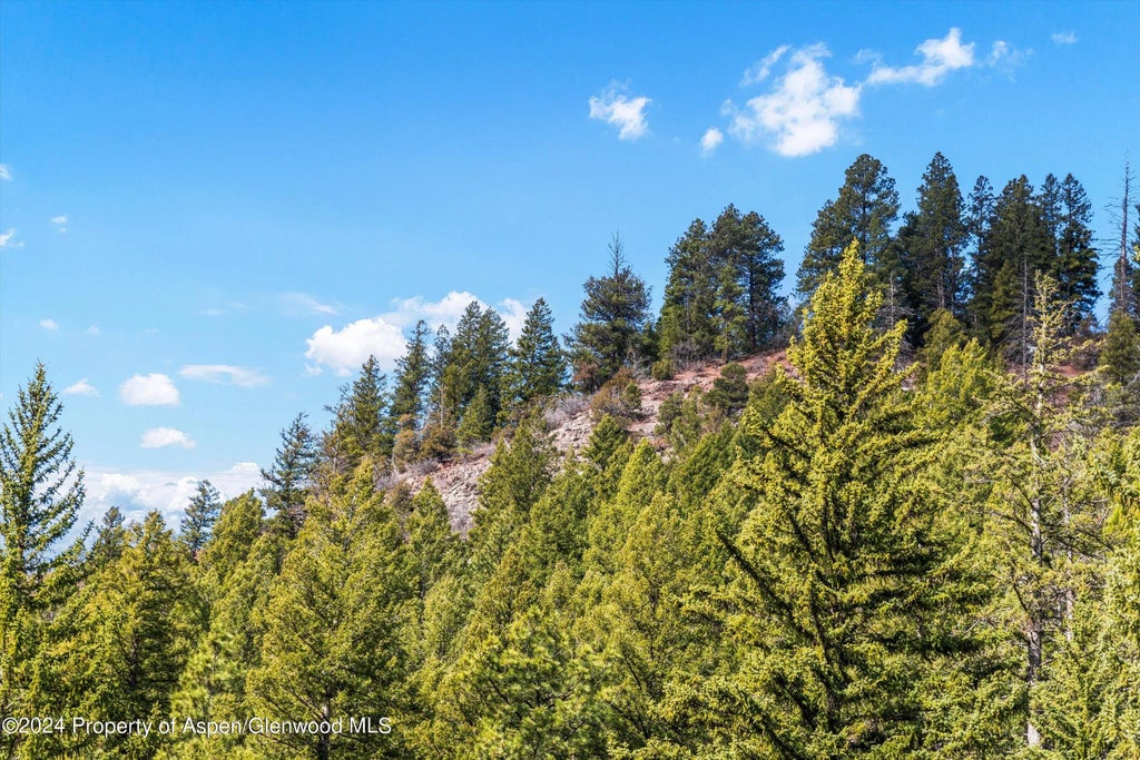 21 of 39 - Tbd Elk Mountain Dr Drive, Redstone, CO