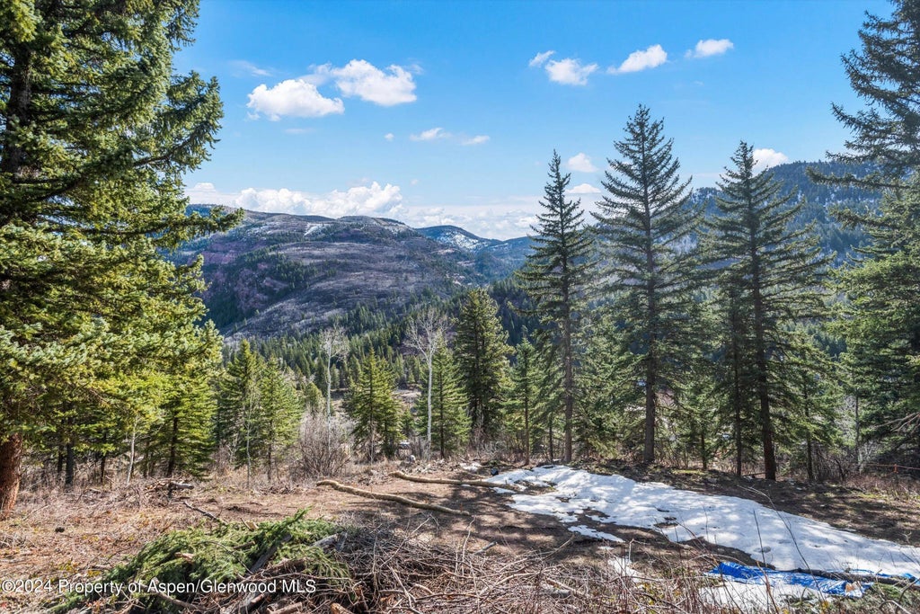 6 of 39 - Tbd Elk Mountain Dr Drive, Redstone, CO