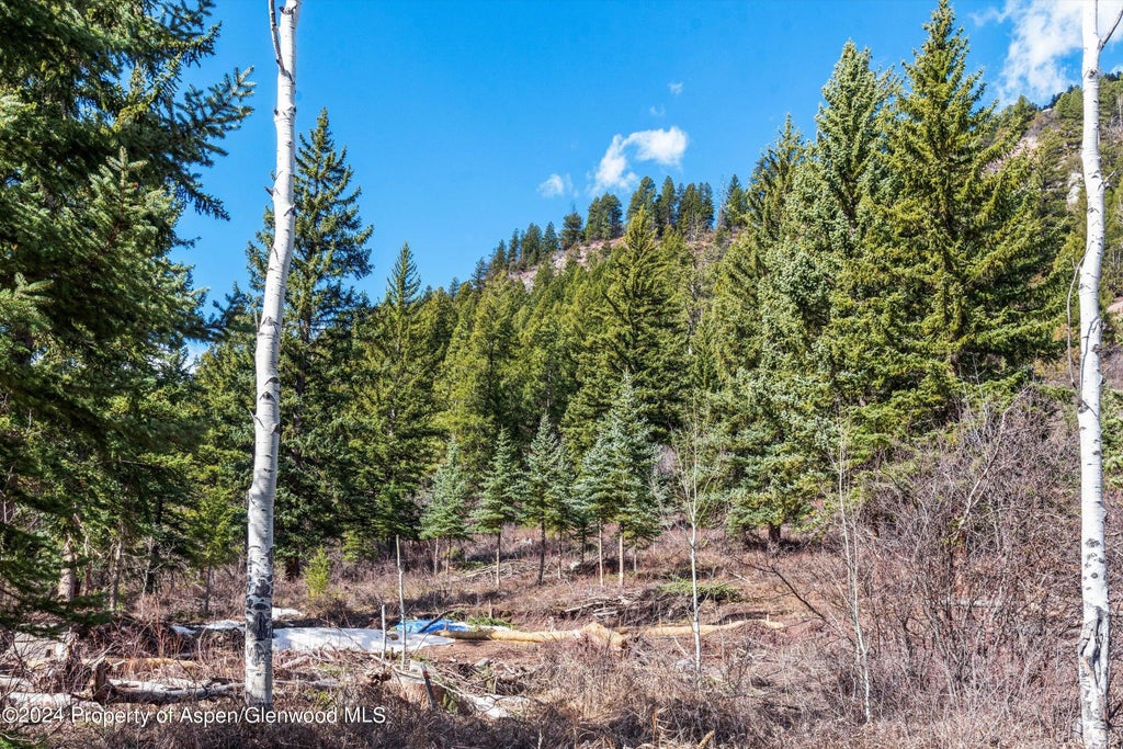 9 of 39 - Tbd Elk Mountain Dr Drive, Redstone, CO