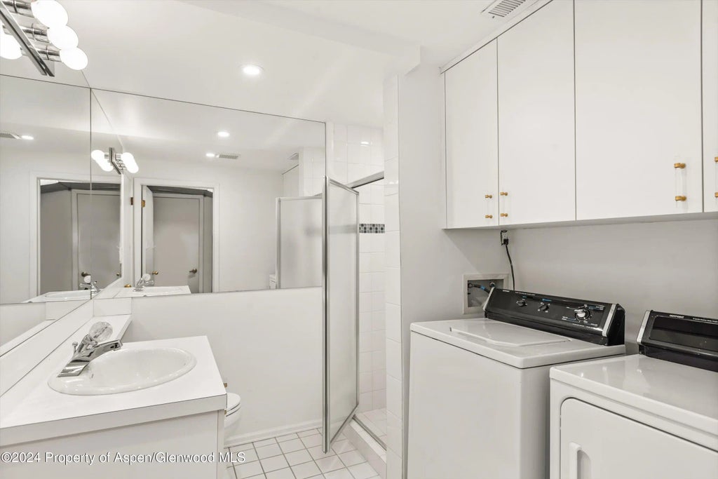 20 of 22 - 814 W Bleeker Street D1, Aspen, CO