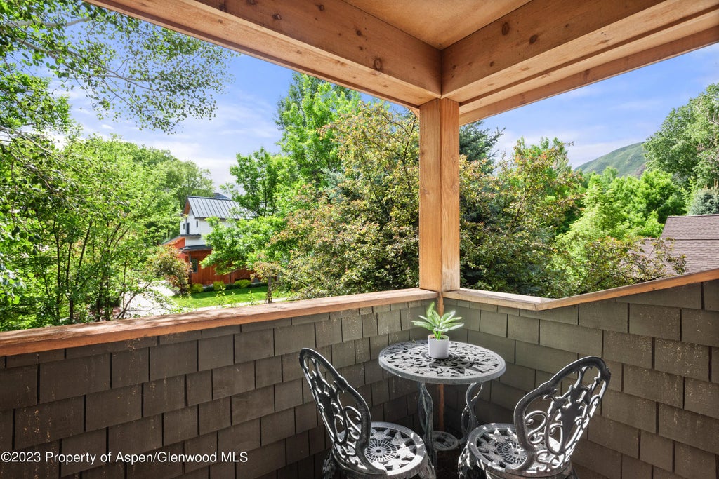 18 of 26 - 316 Allison Lane Lane B, Basalt, CO