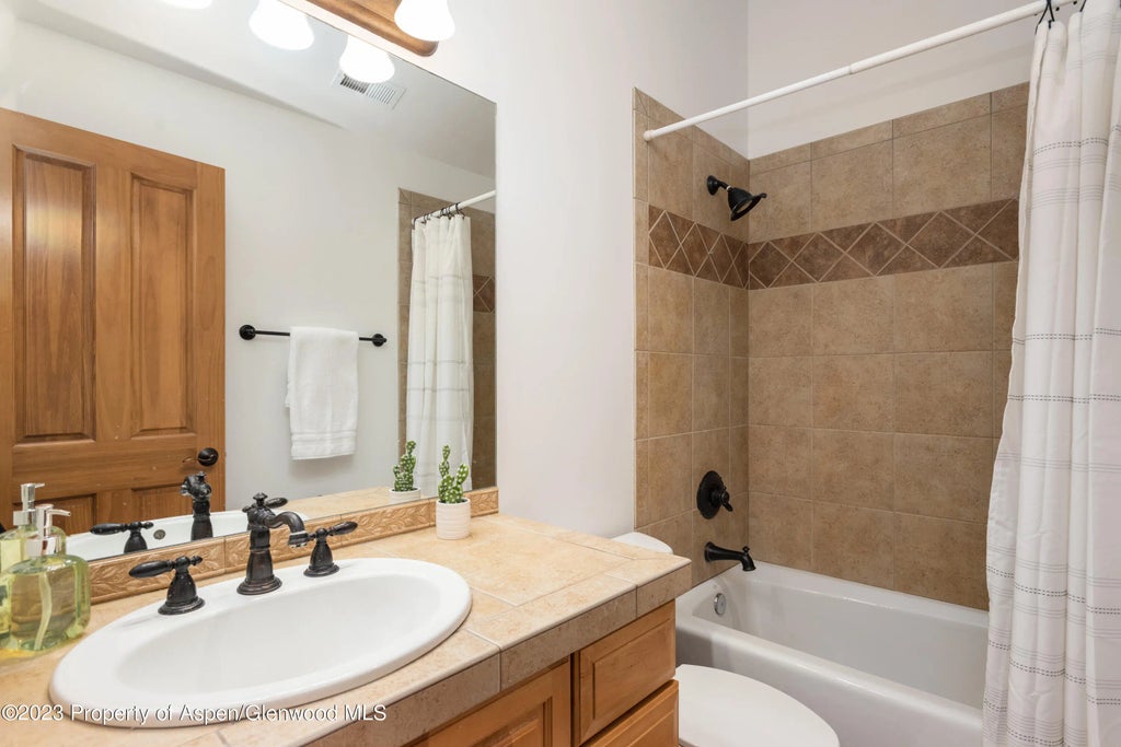 20 of 26 - 316 Allison Lane Lane B, Basalt, CO