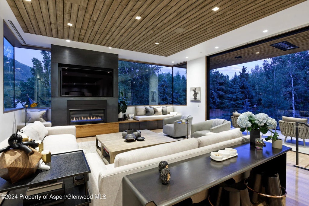 4 of 41 - 1035 Cemetery Lane, Aspen, CO