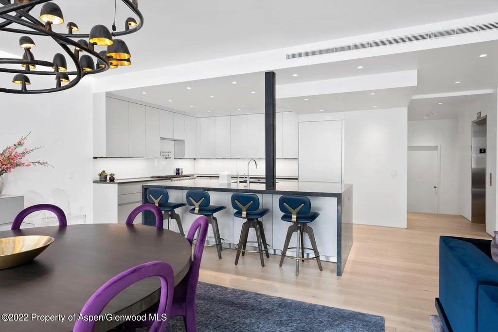 15 of 54 - 508 E Cooper Avenue Unit 201, Aspen, CO