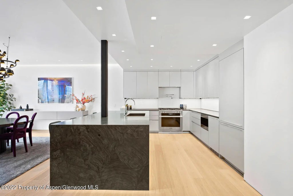 18 of 54 - 508 E Cooper Avenue Unit 201, Aspen, CO