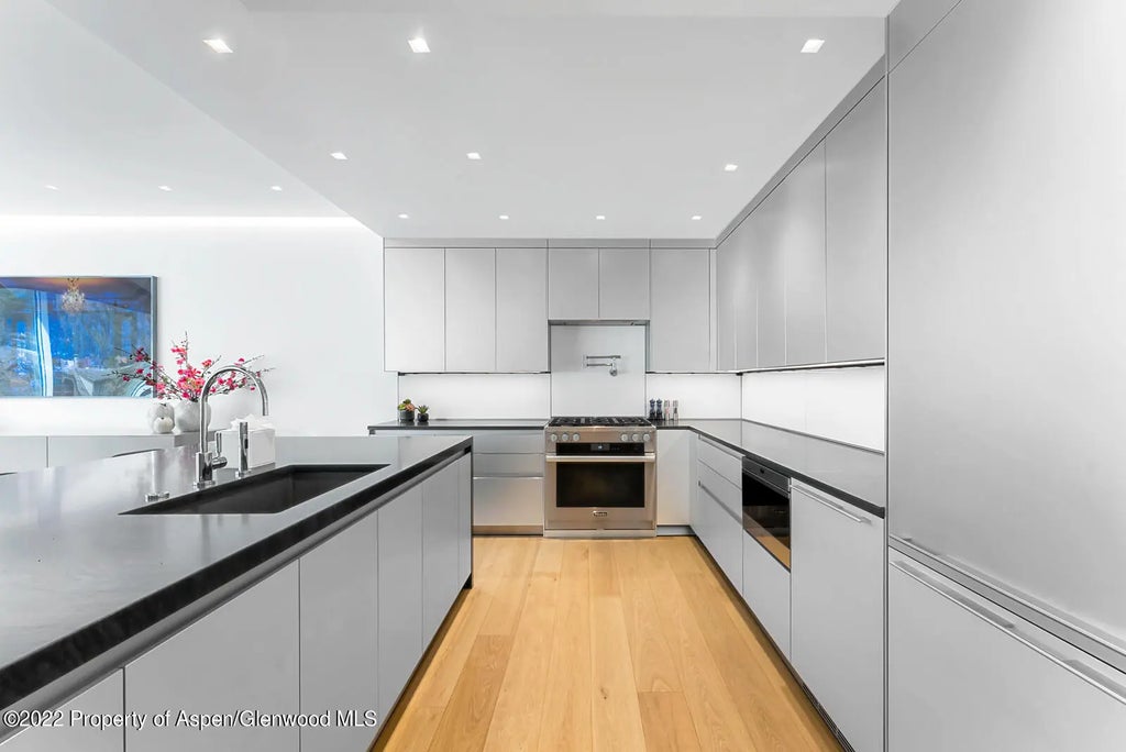 19 of 54 - 508 E Cooper Avenue Unit 201, Aspen, CO