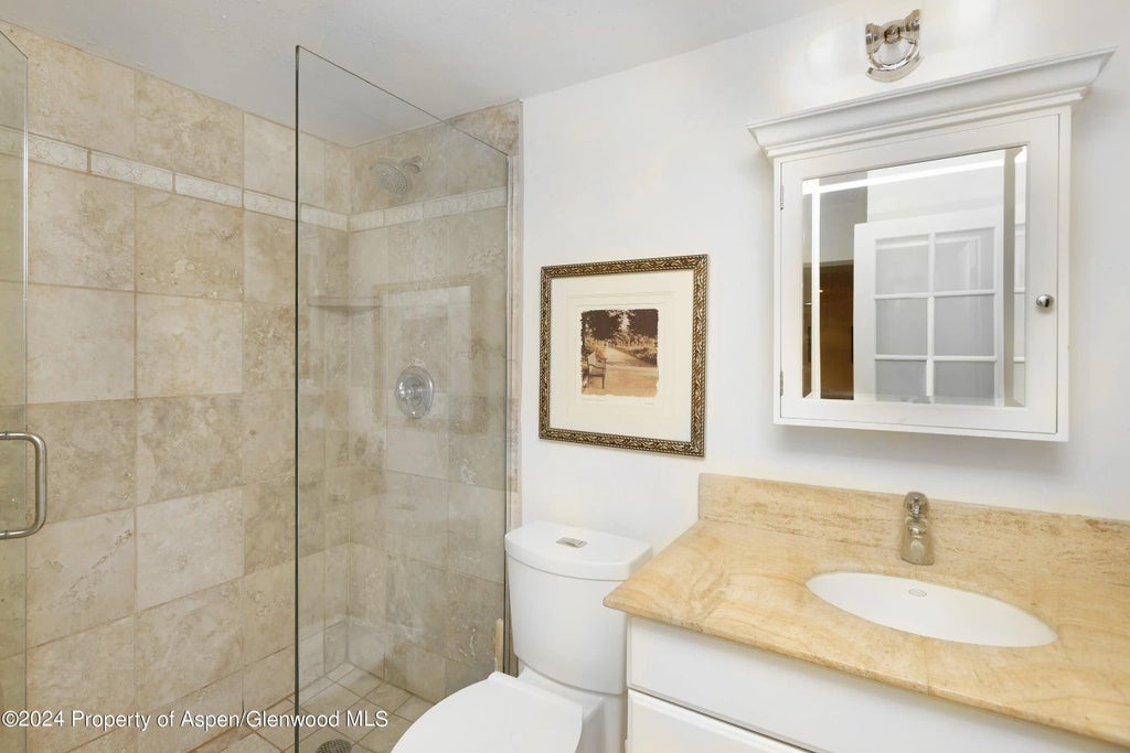 10 of 12 - 412 Vine Street, Aspen, CO