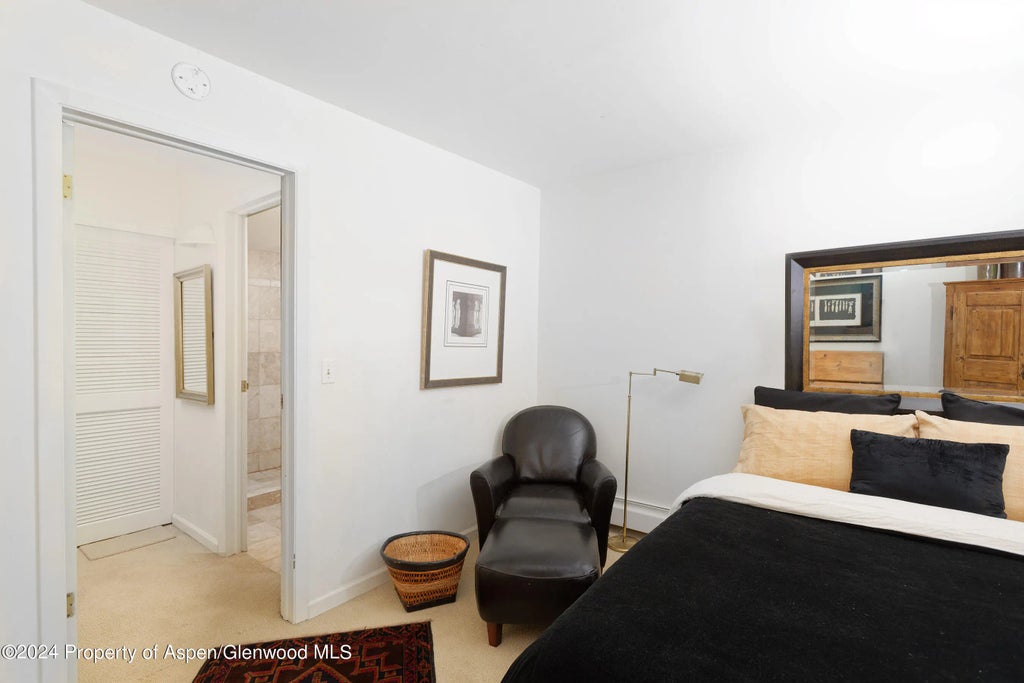 9 of 12 - 412 Vine Street, Aspen, CO