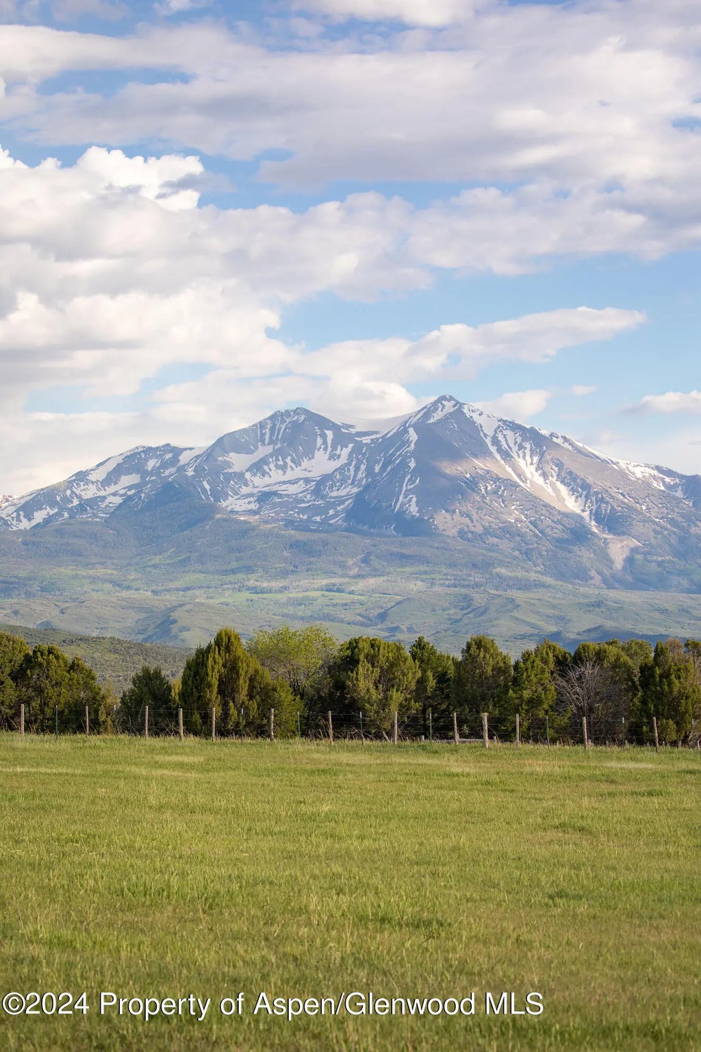 10 of 91 - 1900 Co Rd 103, Carbondale, CO