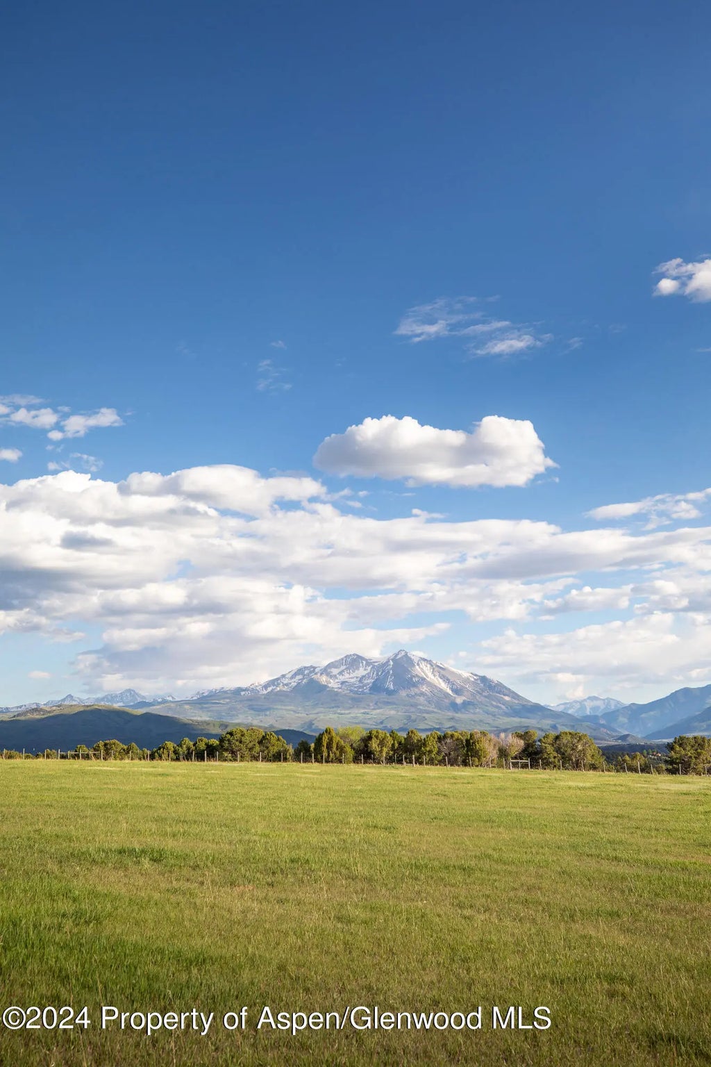 12 of 91 - 1900 Co Rd 103, Carbondale, CO