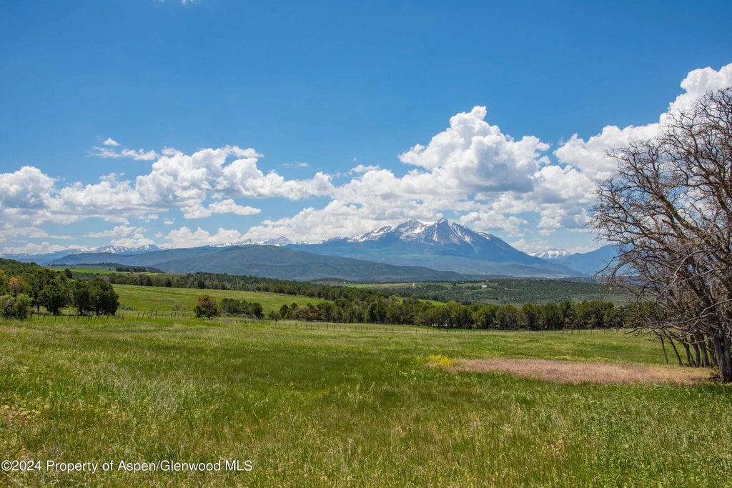20 of 91 - 1900 Co Rd 103, Carbondale, CO