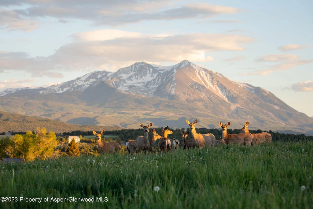 29 of 91 - 1900 Co Rd 103, Carbondale, CO