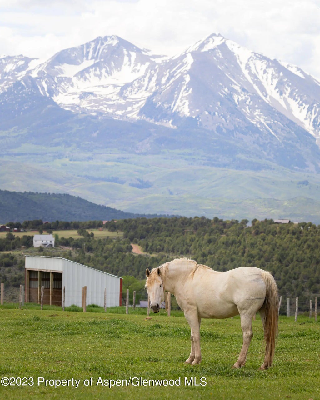 32 of 91 - 1900 Co Rd 103, Carbondale, CO