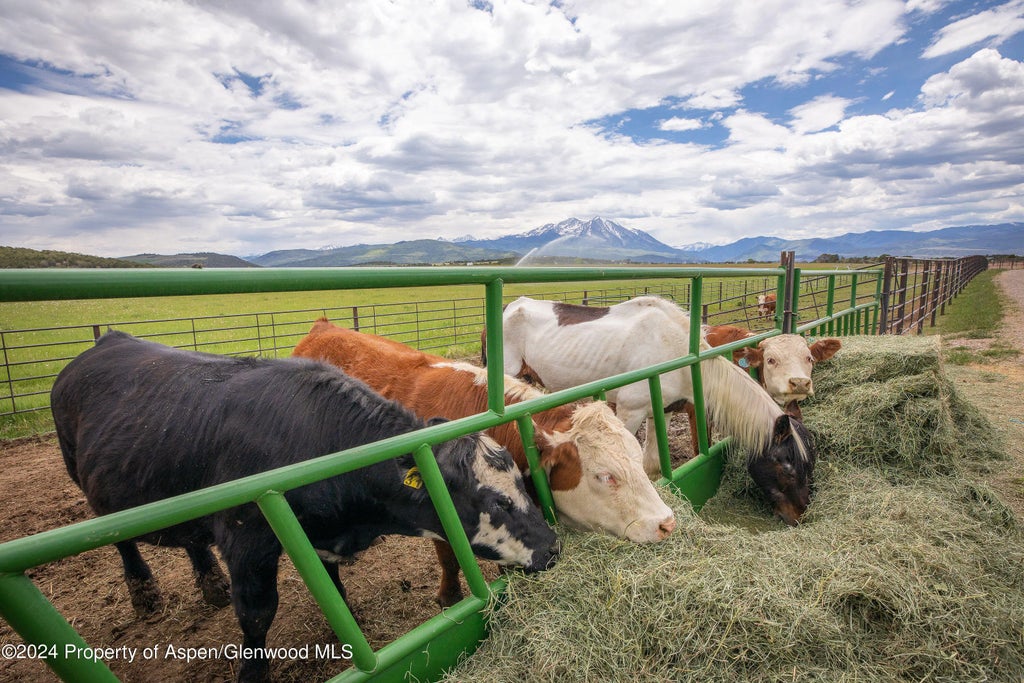 33 of 91 - 1900 Co Rd 103, Carbondale, CO