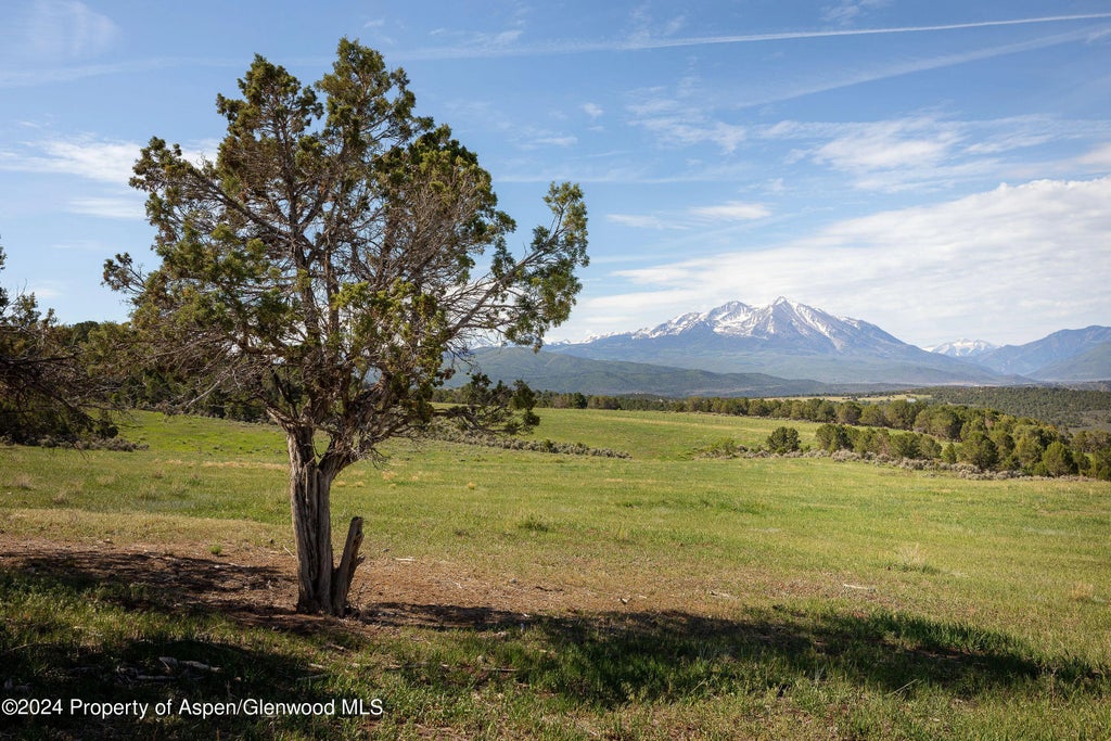 7 of 91 - 1900 Co Rd 103, Carbondale, CO