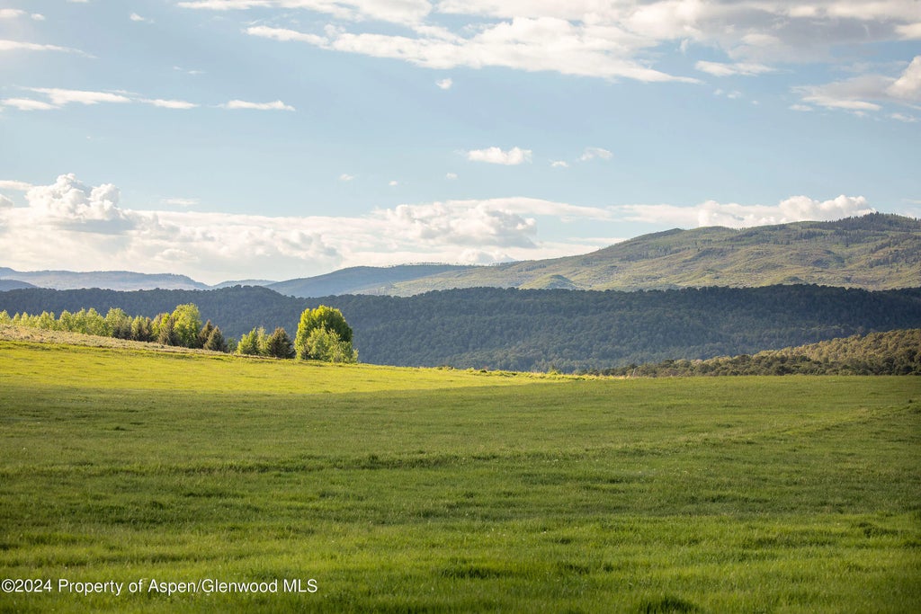 9 of 91 - 1900 Co Rd 103, Carbondale, CO