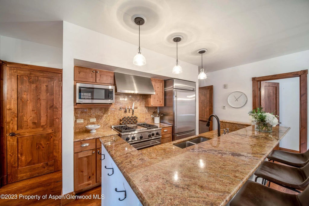 5 of 16 - 503 W Main Street B101, Aspen, CO