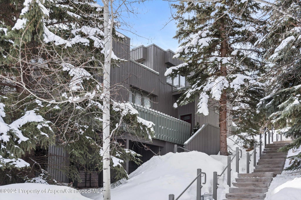 20 of 20 - 382 Meadow Ranch Road F4b, Snowmass Village, CO