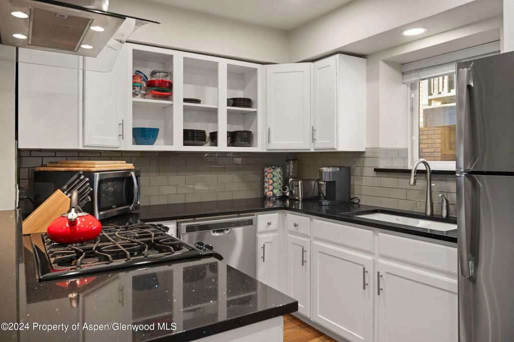 6 of 12 - 108 W Hyman Avenue Unit 3, Aspen, CO