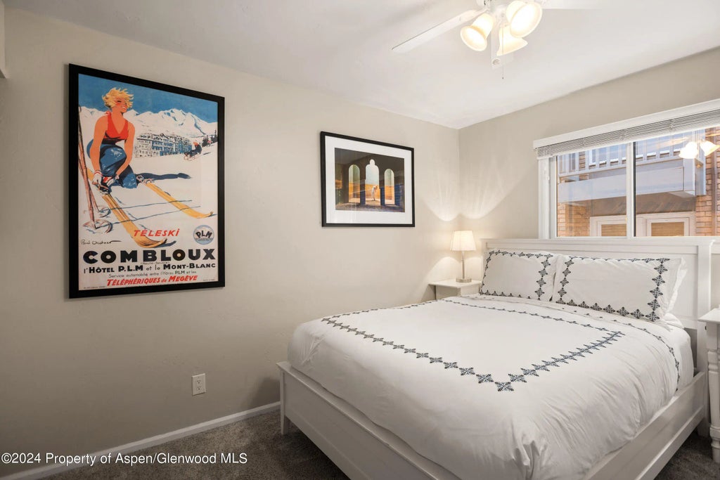 8 of 12 - 108 W Hyman Avenue Unit 3, Aspen, CO
