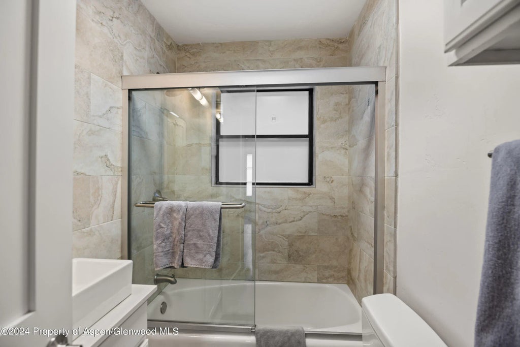9 of 12 - 108 W Hyman Avenue Unit 3, Aspen, CO