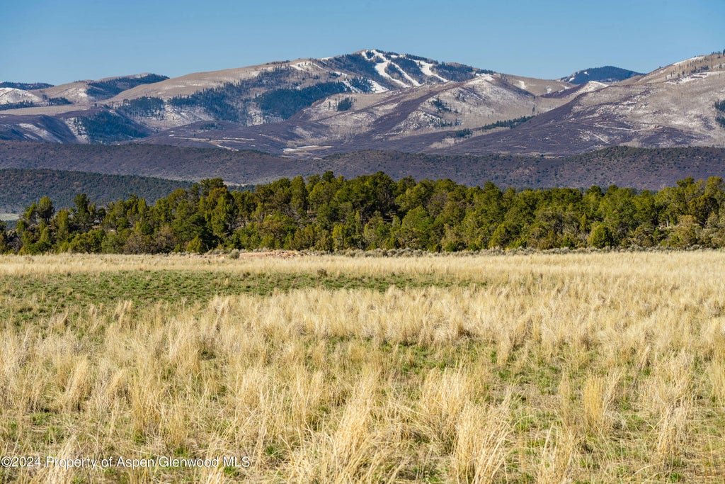 10 of 23 - 2777 Elk Springs Drive, Glenwood Springs, CO