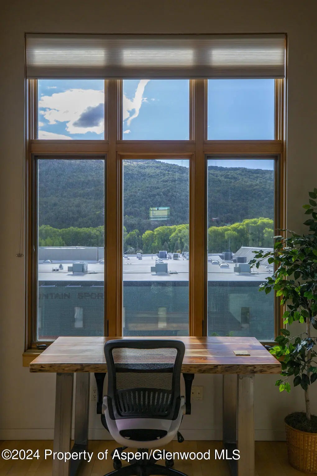 13 of 45 - 231 Robinson Street 330, Basalt, CO