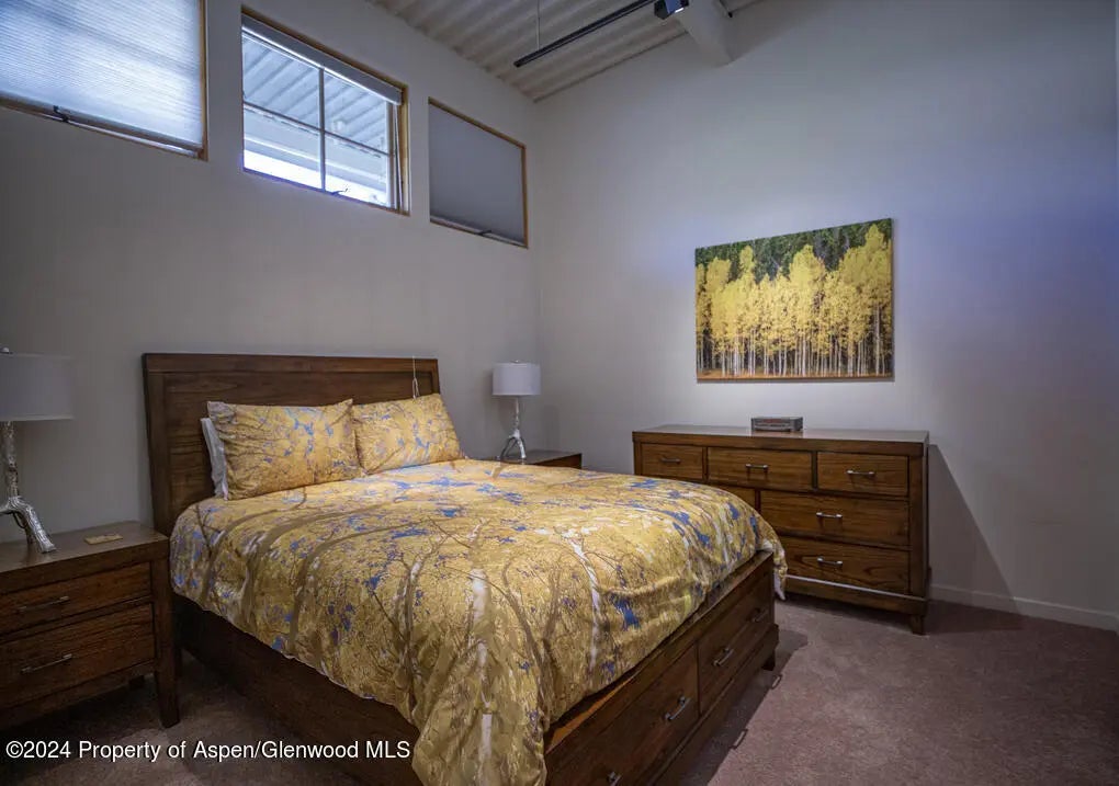 14 of 45 - 231 Robinson Street 330, Basalt, CO