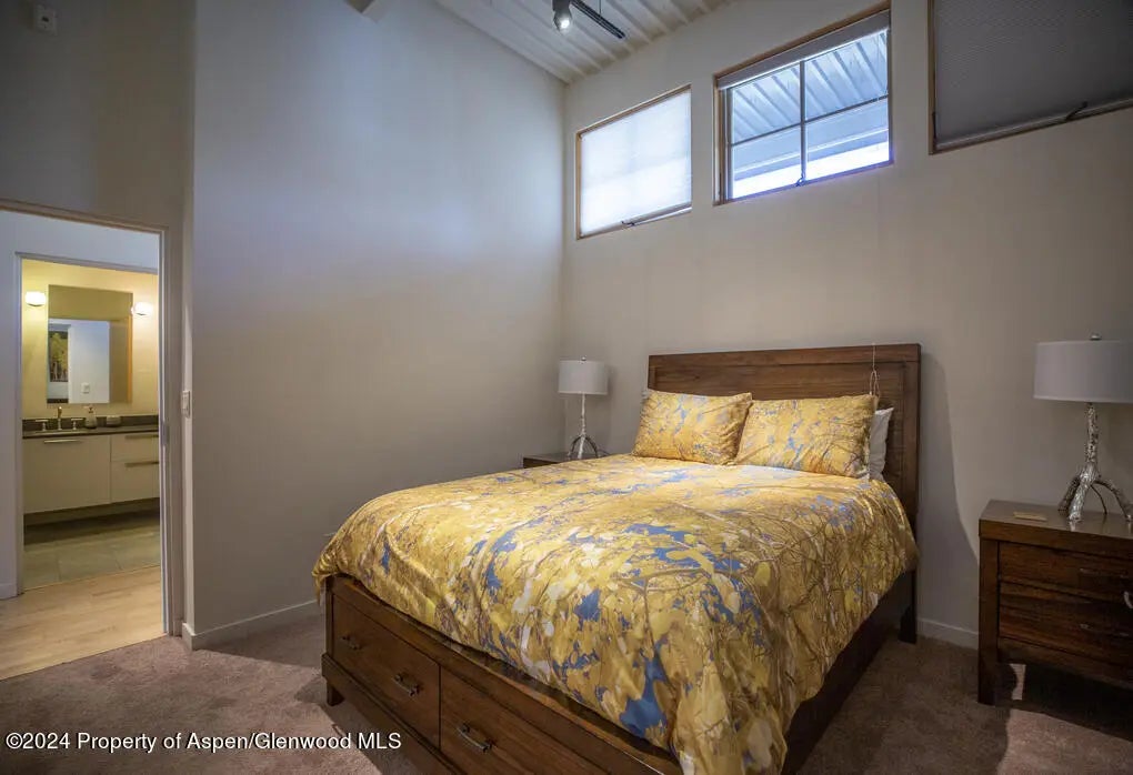 15 of 45 - 231 Robinson Street 330, Basalt, CO