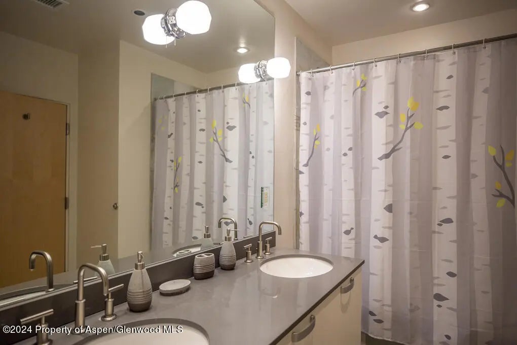 17 of 45 - 231 Robinson Street 330, Basalt, CO