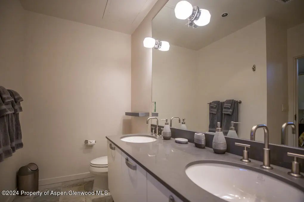 18 of 45 - 231 Robinson Street 330, Basalt, CO