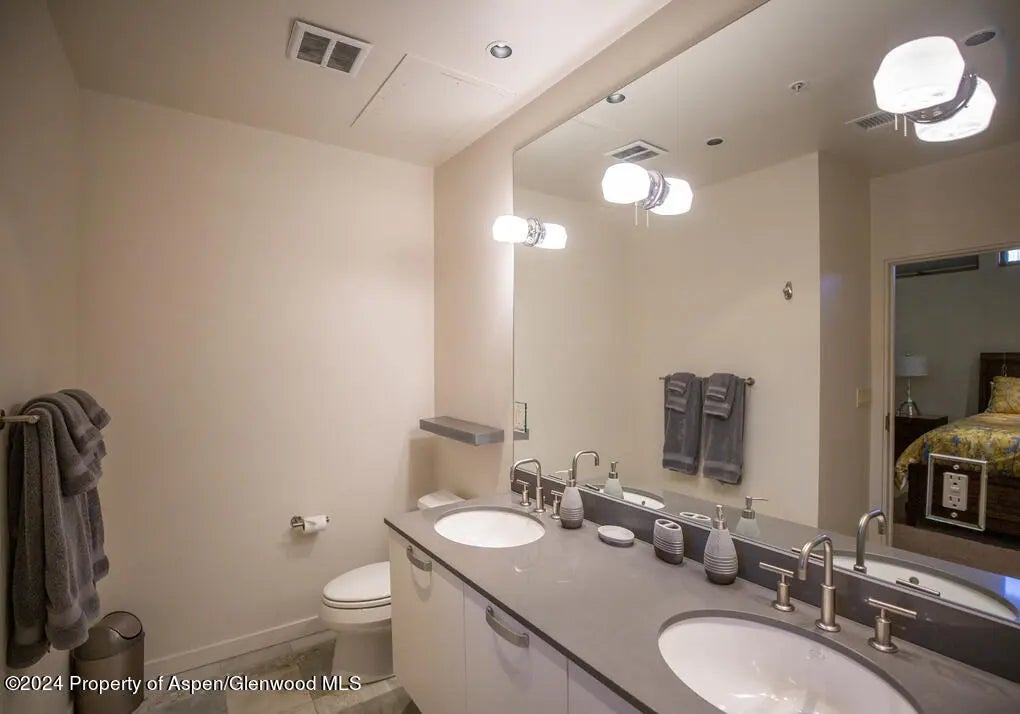 21 of 45 - 231 Robinson Street 330, Basalt, CO