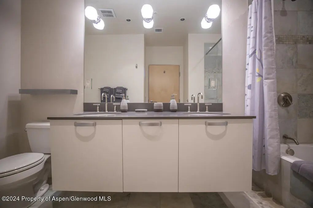 22 of 45 - 231 Robinson Street 330, Basalt, CO