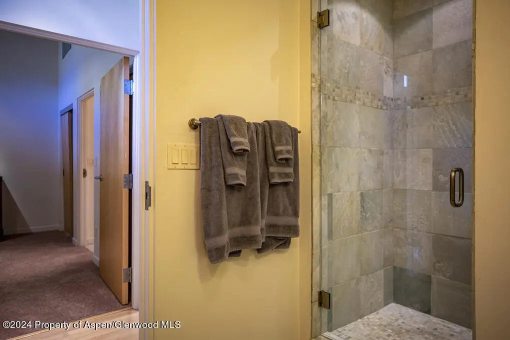 24 of 45 - 231 Robinson Street 330, Basalt, CO