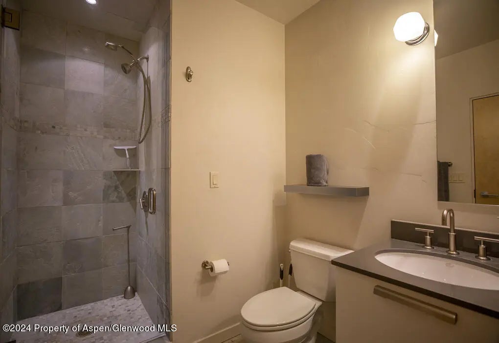 25 of 45 - 231 Robinson Street 330, Basalt, CO