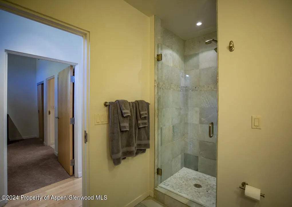 27 of 45 - 231 Robinson Street 330, Basalt, CO