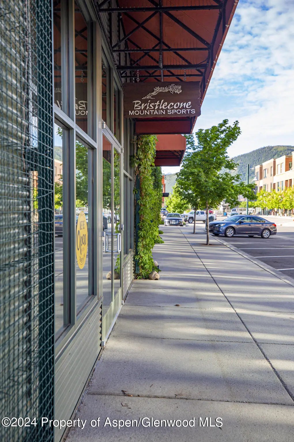 33 of 45 - 231 Robinson Street 330, Basalt, CO