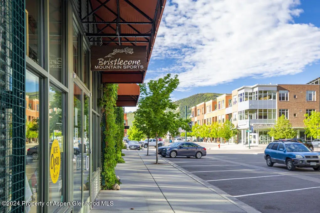 42 of 45 - 231 Robinson Street 330, Basalt, CO