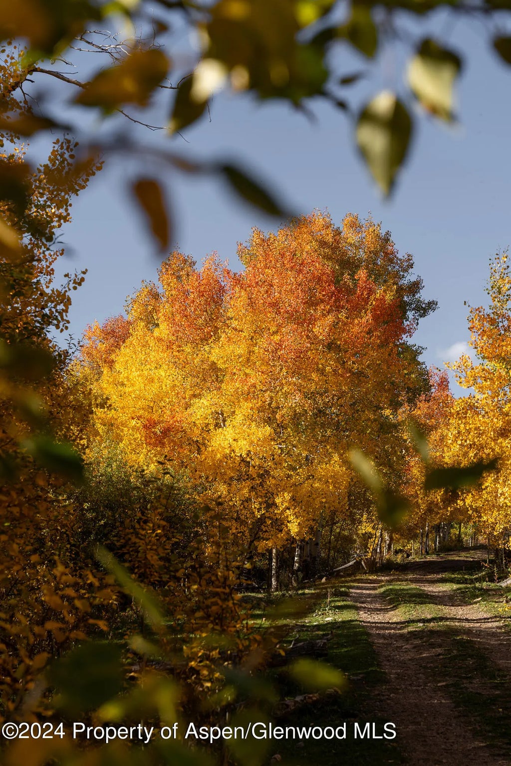 61 of 96 - 1012 Monastery Road, Snowmass, CO