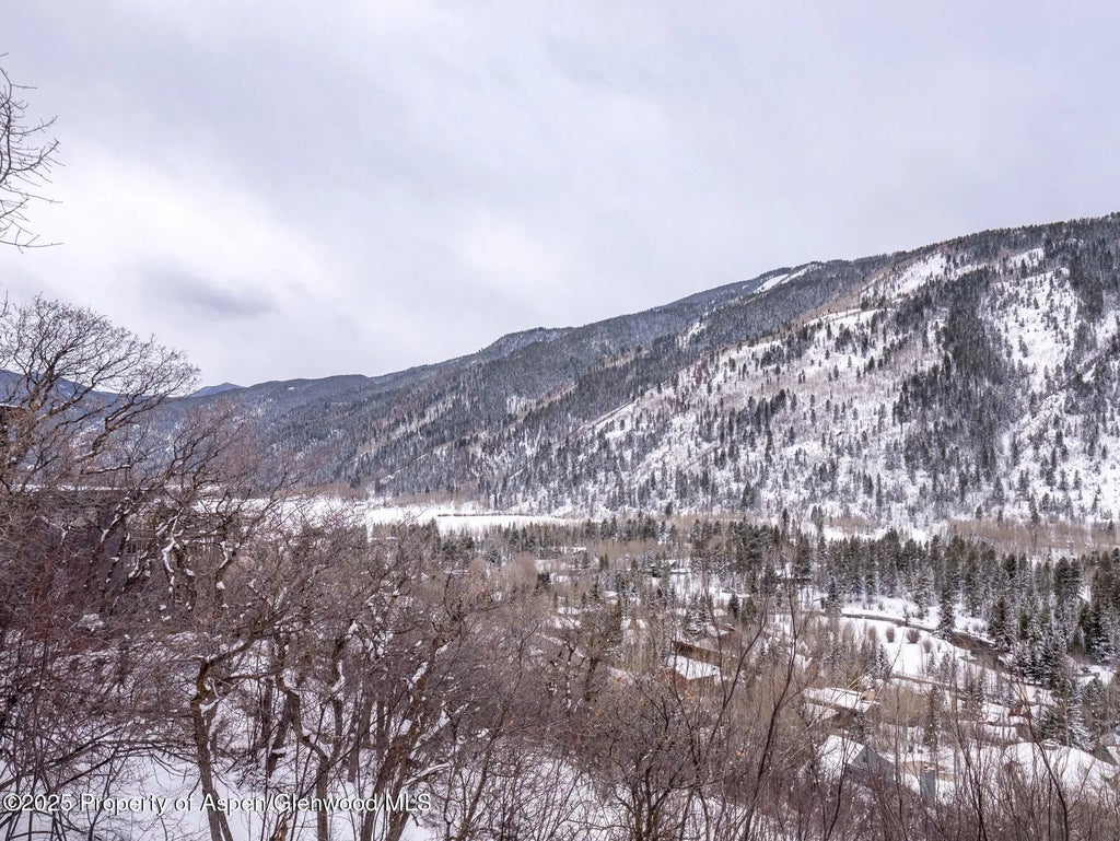 41 of 48 - 780 Mountain Laurel Drive, Aspen, CO