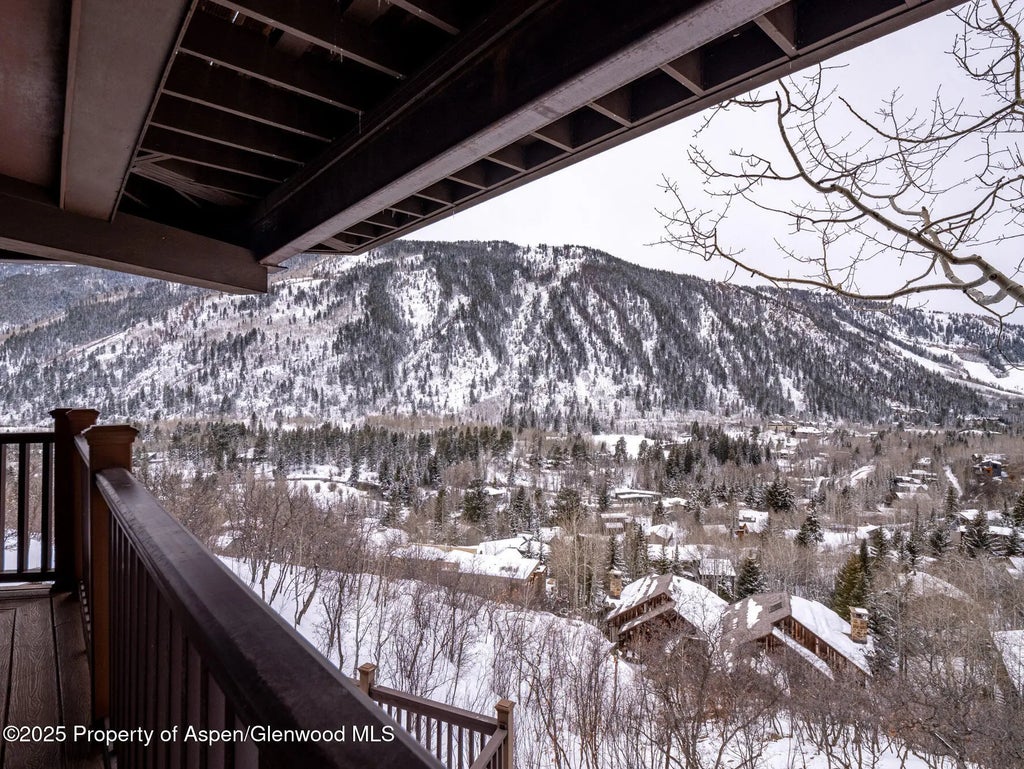 45 of 48 - 780 Mountain Laurel Drive, Aspen, CO