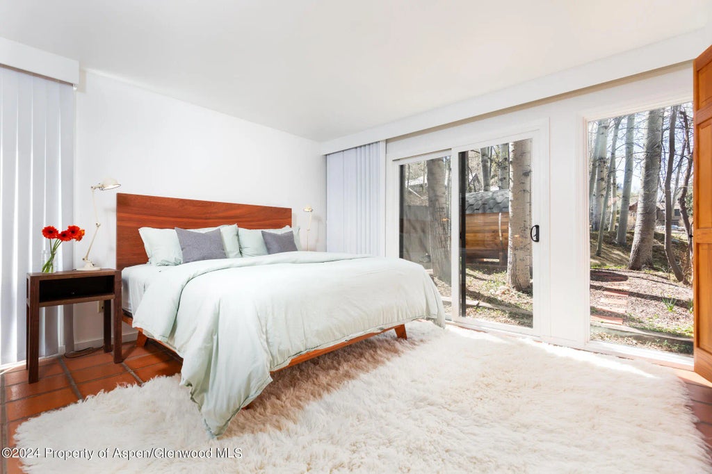 18 of 34 - 925 W North Street, Aspen, CO