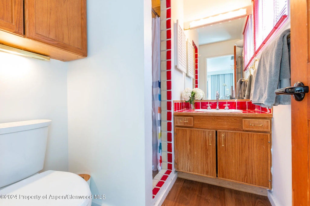 21 of 34 - 925 W North Street, Aspen, CO