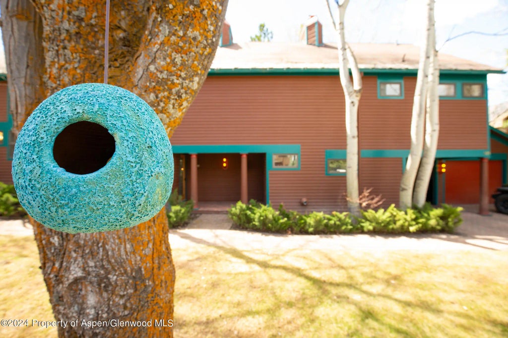 28 of 34 - 925 W North Street, Aspen, CO