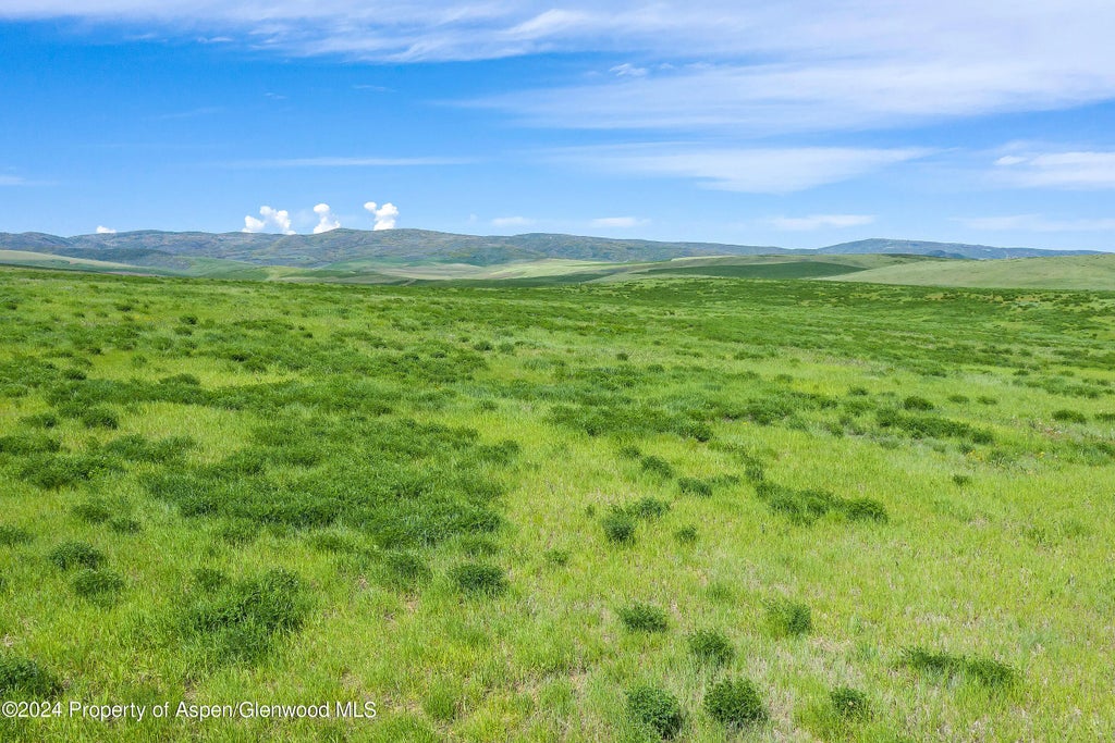 17 of 20 - 35400 County Road 59, Hayden, CO