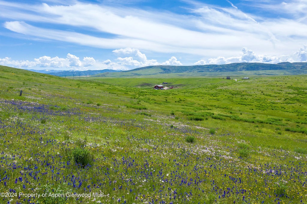 2 of 8 - 35555 County Road 59, Hayden, CO