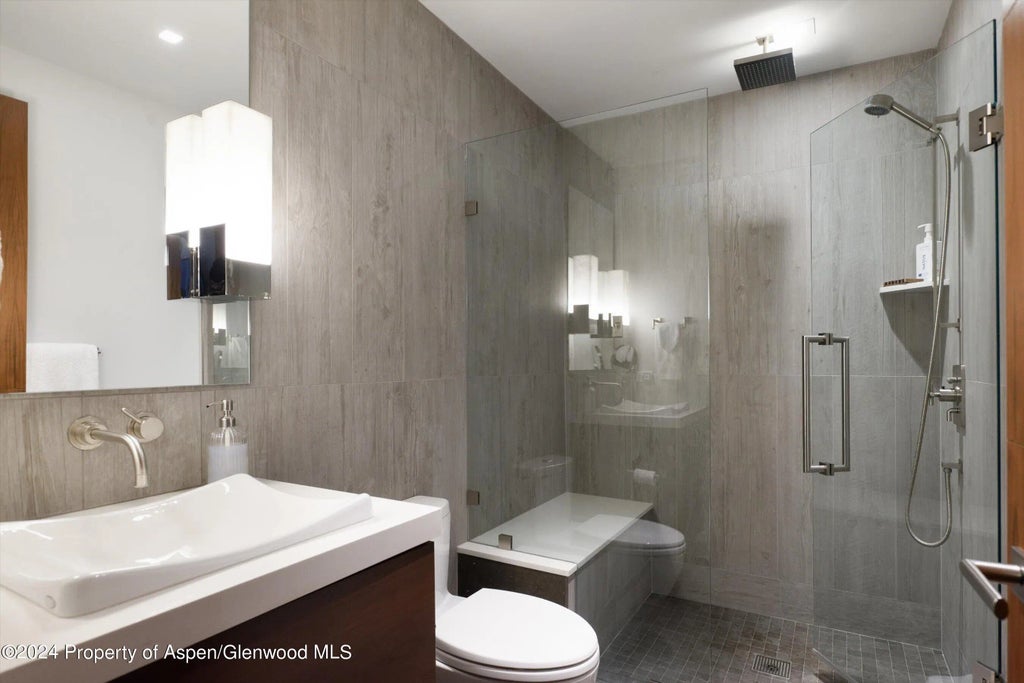 30 of 35 - 717 S Aspen Street Unit B, Aspen, CO