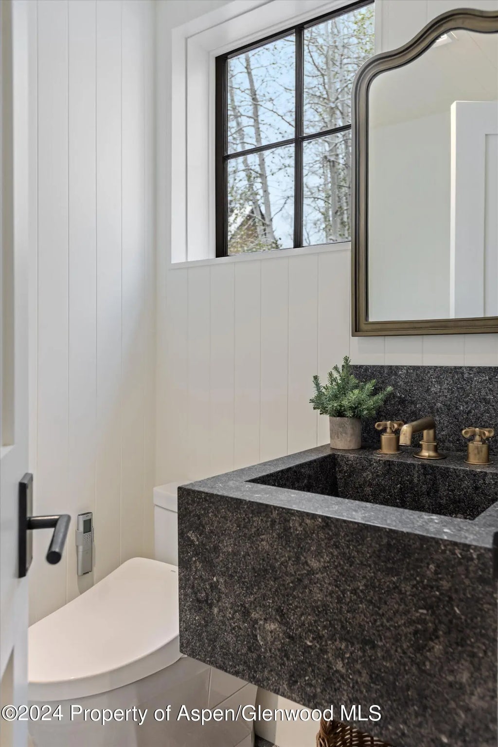 8 of 43 - 134 E Bleeker Street, Aspen, CO