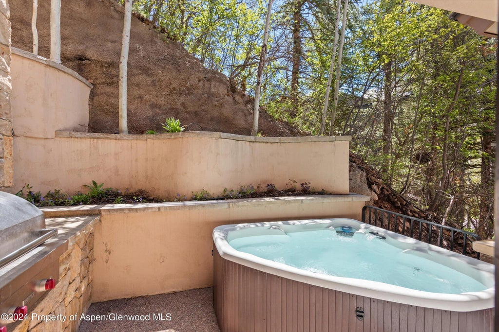 13 of 29 - 1530 Silver King Drive, Aspen, CO